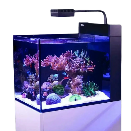 Acuario Red Sea Max Nano G2 Peninsula con diseño sin marco y vidrio ultra claro de 8 mm.