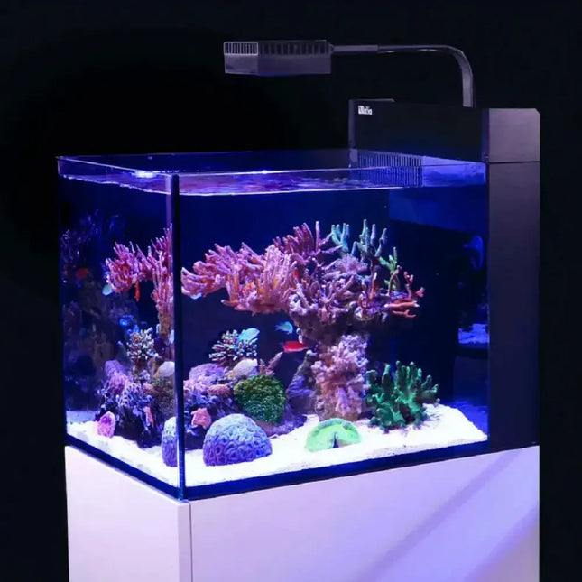 Red Sea Reefer MAX Nano Peninsula – Acuario marino todo en uno con equipo de alto rendimiento