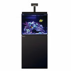 Con Reef LED, mesa negra