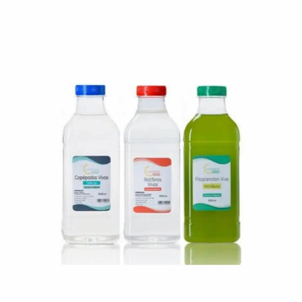 Pack Ahorro Microfauna con copépodos, rotíferos y fitoplancton vivos para acuarios marinos.