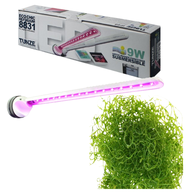 Pack Refugio de Algas con Tunze Eco Chic Refugium y Chaetomorpha