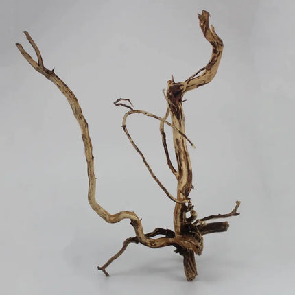 Rama natural tamaño pequeño decorativa para acuario o terrario, ideal para plantas y musgos

