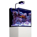 Con Reef LED, sin mesa