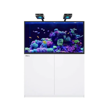Red Sea REEFER MAX S-550 G3 — acuario marino de 549 L con ReefLED 170, ReefWave 45 y ReefMat 1200.