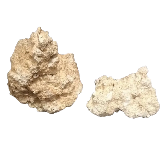 Roca Aquaroche – piedra natural para decoración y paisajes en acuarios de agua dulce y marinos
