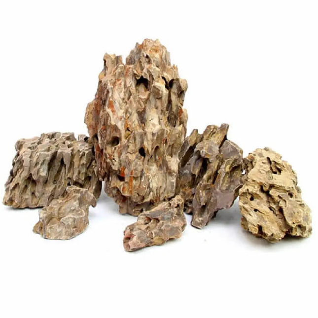 Roca Dragón para acuarios – piedra natural tipo Ohko con textura erosionada para decoración acuática


