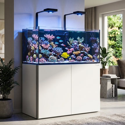 Acuario marino TMC Reef Habitat 120 PRO de 270 litros lleno de vida en un salón moderno