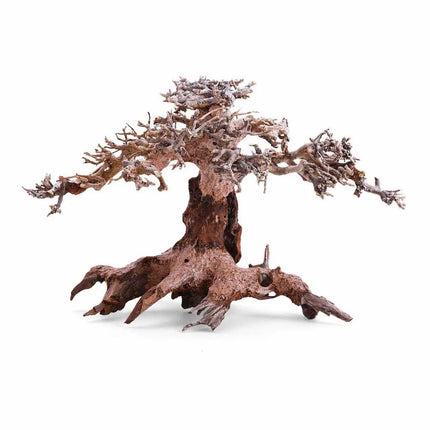 Tronco Natural Bonsai de madera decorativa para acuarios plantados o terrarios tropicales

