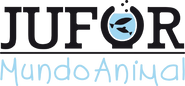 Jufor Mundo Animal