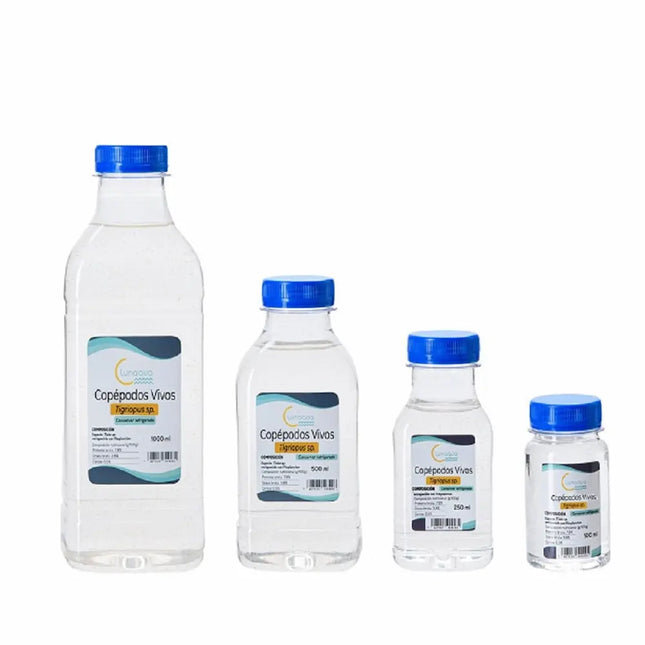 Copépodos Tigriopus vivos en botella – alimento marino natural y nutritivo para acuarios de peces y corales