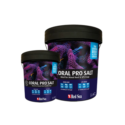 Cubos de Sal Red Sea Coral Pro para acuarios de arrecife con diseño de corales y logo de Red Sea
