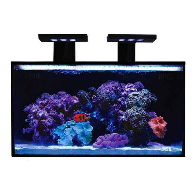 Kit Premium Acuario Fusion Nano 20 Innovative Marine