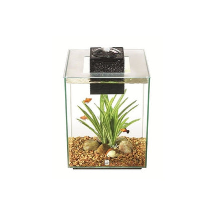 Fluval Chi