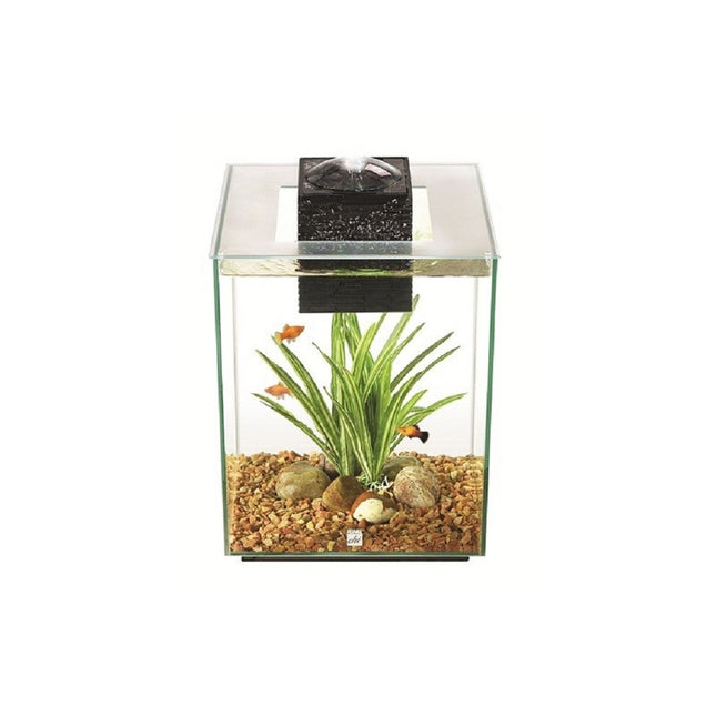 Fluval Chi