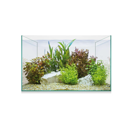 Aquascape Basic