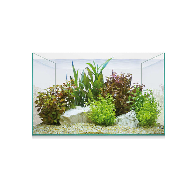 Aquascape Basic