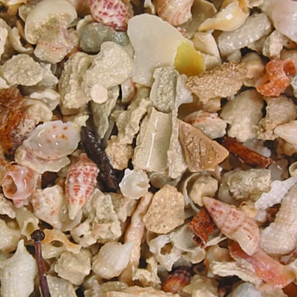 Caribsea Aruba Puka Shell 8,16 kg