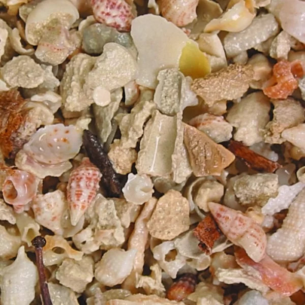 Caribsea Aruba Puka Shell 8,16 kg