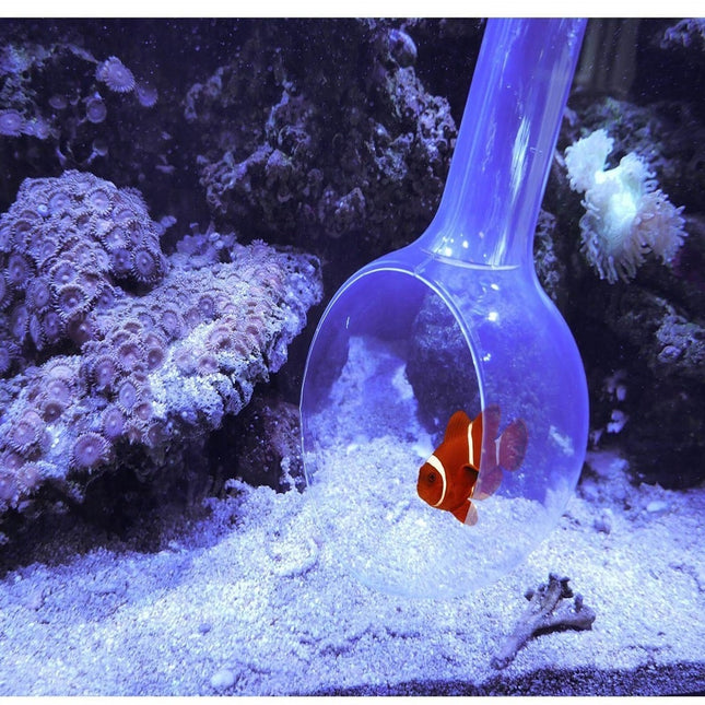 Catch Bowl Atrapapeces