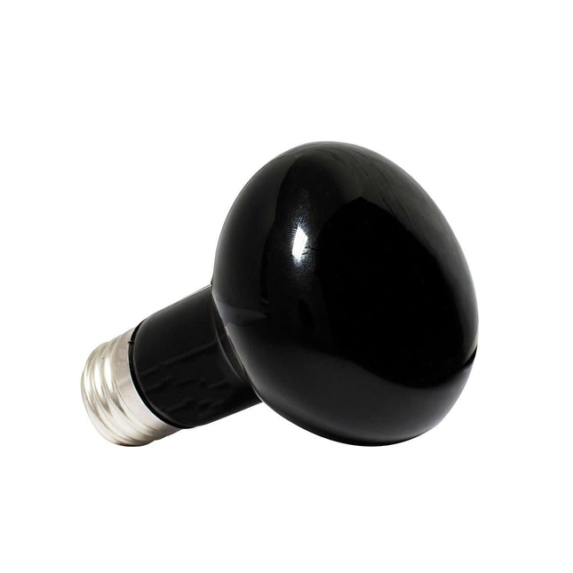 Bombilla de Luz Nocturna
