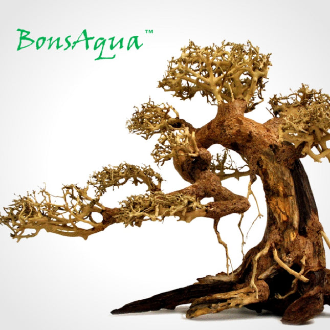 Bonsaqua Bonsai Caída Izquierda