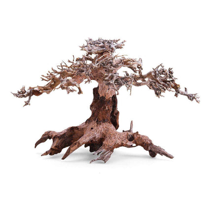Tronco Natural Bonsai
