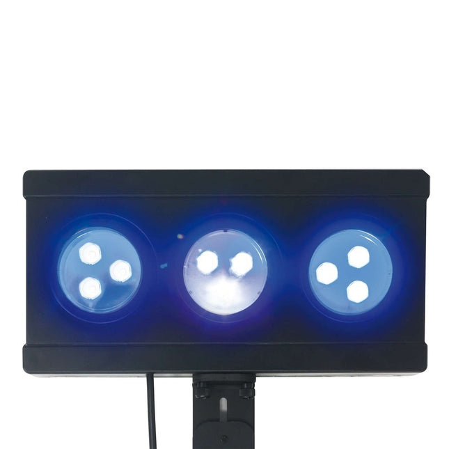 Coral LED Lamp