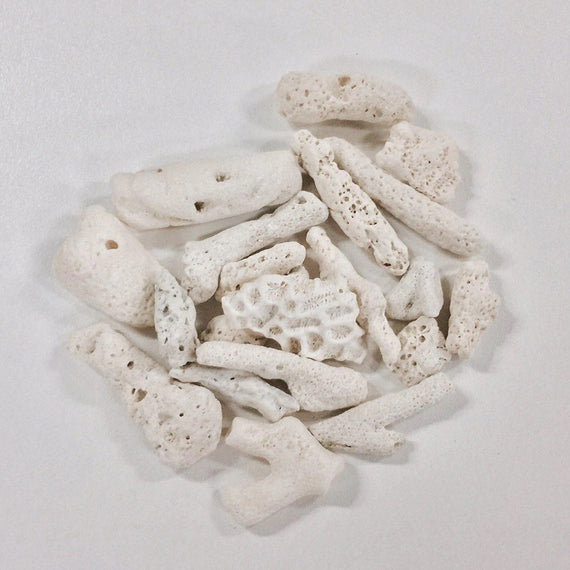 White Label Coral Bones