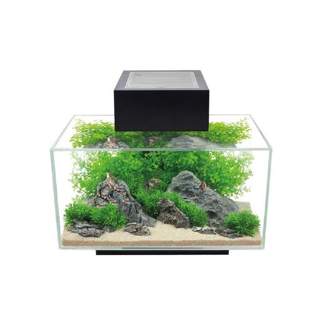 Acuario Fluval Edge 2.0 23L