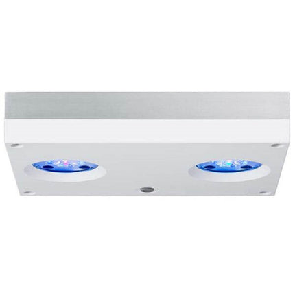 AI Hydra 32 Freshwater