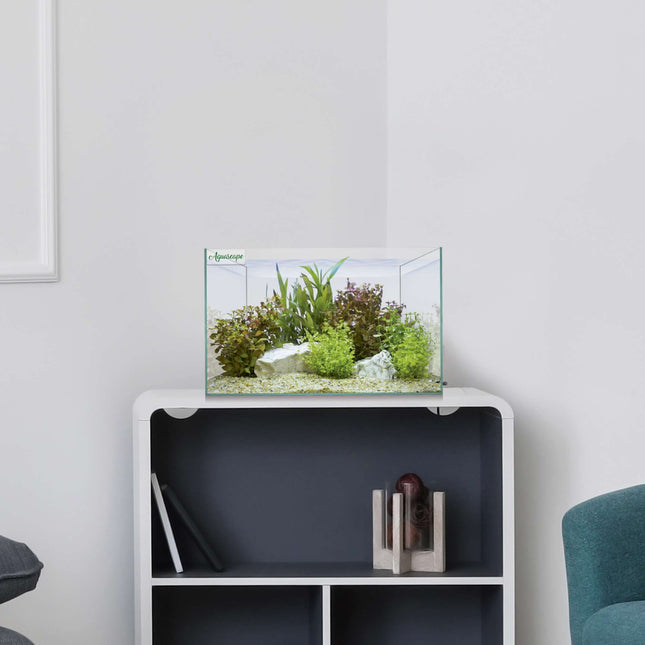 Aquascape Basic