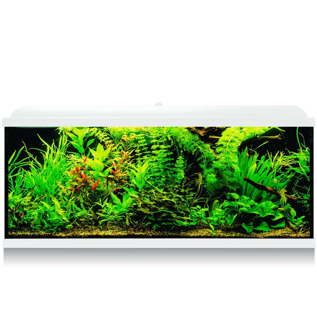 Kit Acuario Aqua Led Pro
