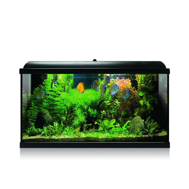 Kit Acuario Aqua Led Pro
