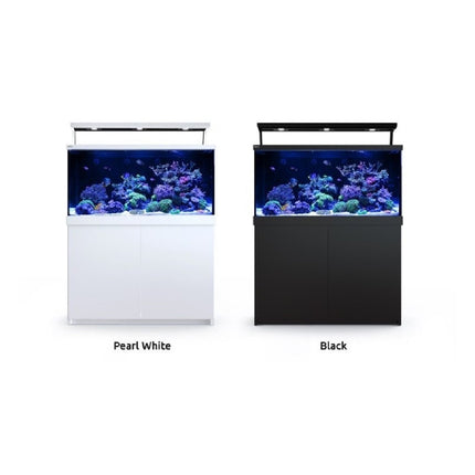 Red Sea Max S 650 Kit de Arrecife Completo