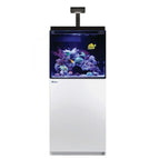 Con Reef LED, mesa blanca