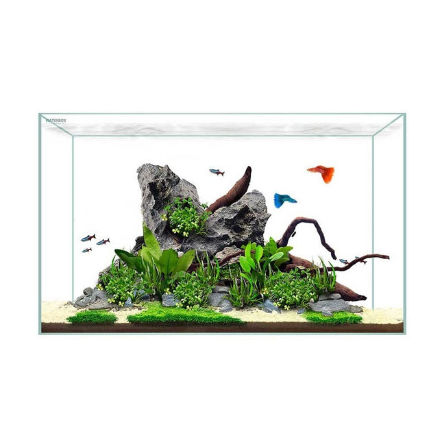 Waterbox Clear Mini 10