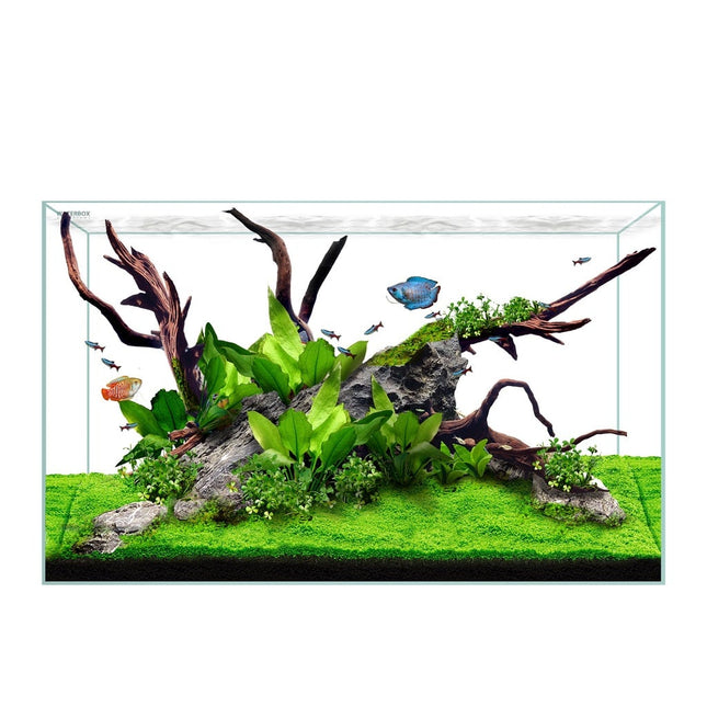 Waterbox Clear Mini 16