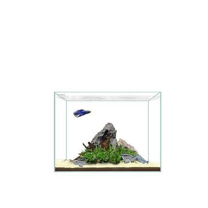 Waterbox Clear Mini 6