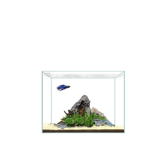Waterbox Clear Mini 6