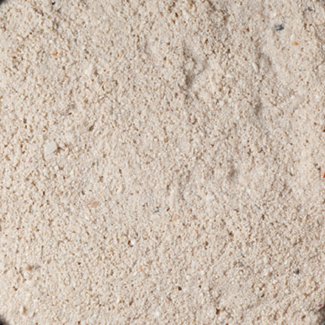 Caribsea Arena Viva Ocean Direct Oolite