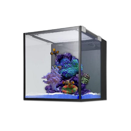 Kit Premium Acuario Fusion Nano 10 Innovative Marine