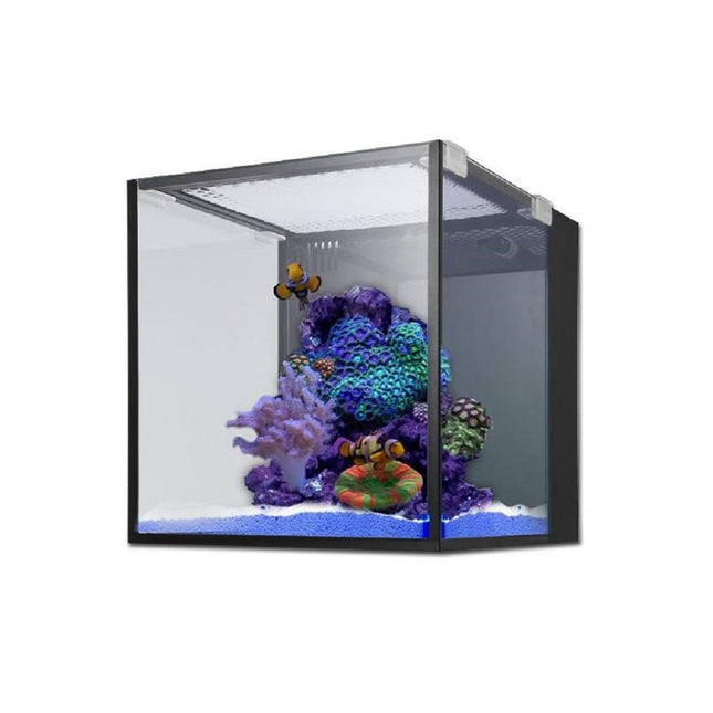 Kit Premium Acuario Fusion Nano 10 Innovative Marine
