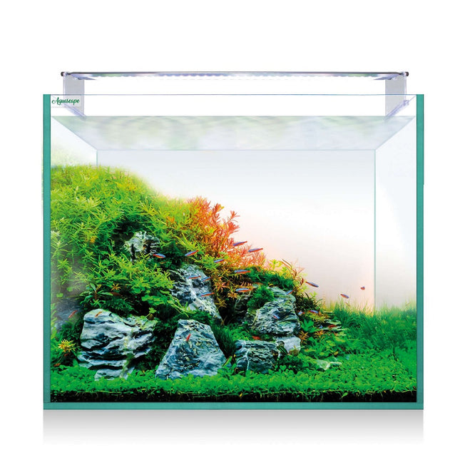 Kit Aquascape PRO RGB Extra Claro