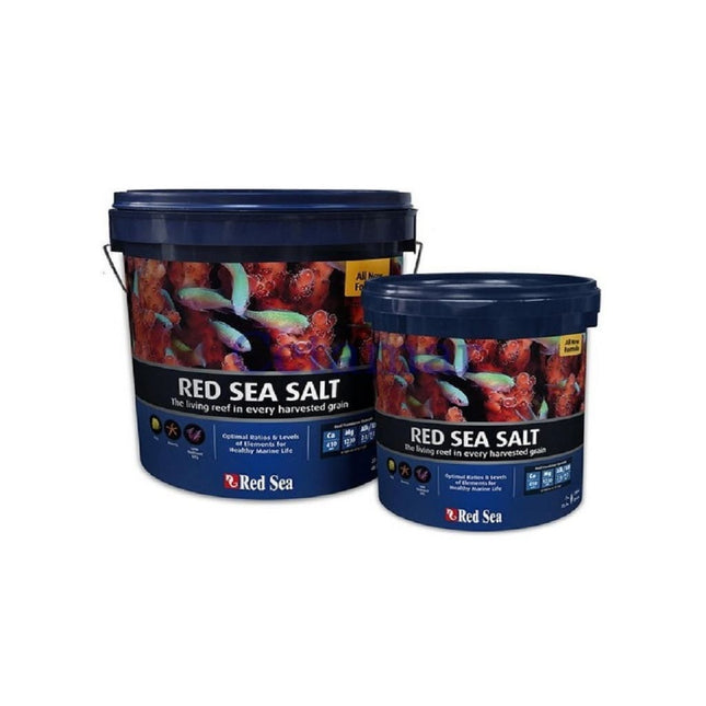 Sal Red Sea