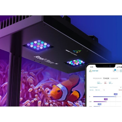 Reef Factory Reef Flare Pro "M"