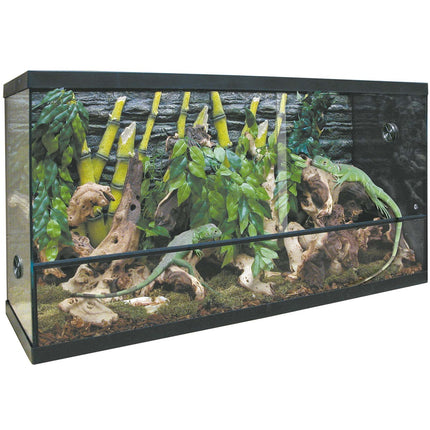Terrario Cristal Repti Selva