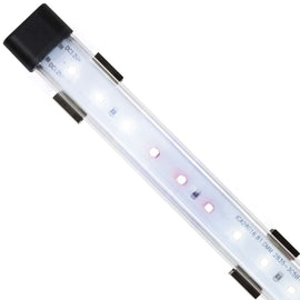 Kit LED UVB con Carcasa Rígida Plástica.