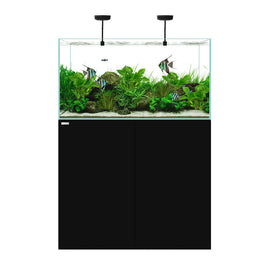 Waterbox Clear 3620