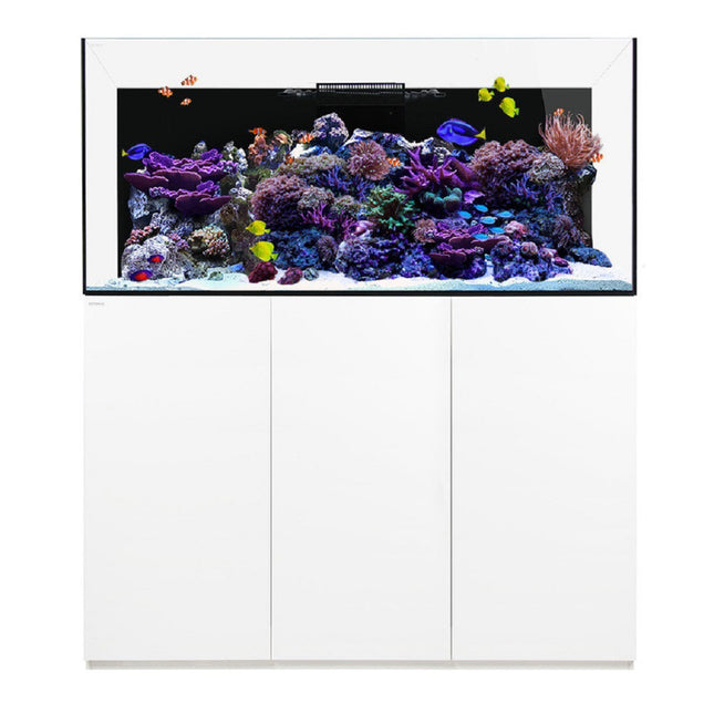 Waterbox Reef 180.5