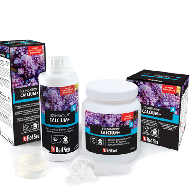 Red Sea Foundation A Calcium+